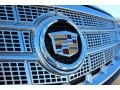 2013 Black Diamond Tricoat Cadillac XTS Platinum FWD  photo #9