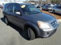 2005 Pewter Pearl Honda CR-V Special Edition 4WD  photo #2