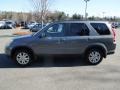 2005 Pewter Pearl Honda CR-V Special Edition 4WD  photo #3