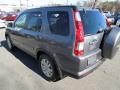 2005 Pewter Pearl Honda CR-V Special Edition 4WD  photo #4