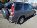 2005 Pewter Pearl Honda CR-V Special Edition 4WD  photo #5