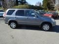 2005 Pewter Pearl Honda CR-V Special Edition 4WD  photo #6