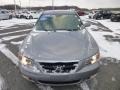 Steel Gray - Sonata LX V6 Photo No. 2
