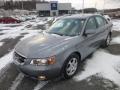Steel Gray - Sonata LX V6 Photo No. 3