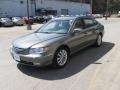 2008 Sage Green Hyundai Azera Limited  photo #4