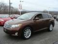 2010 Sunset Bronze Mica Toyota Venza AWD  photo #3