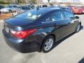 Pacific Blue Pearl - Sonata GLS Photo No. 5