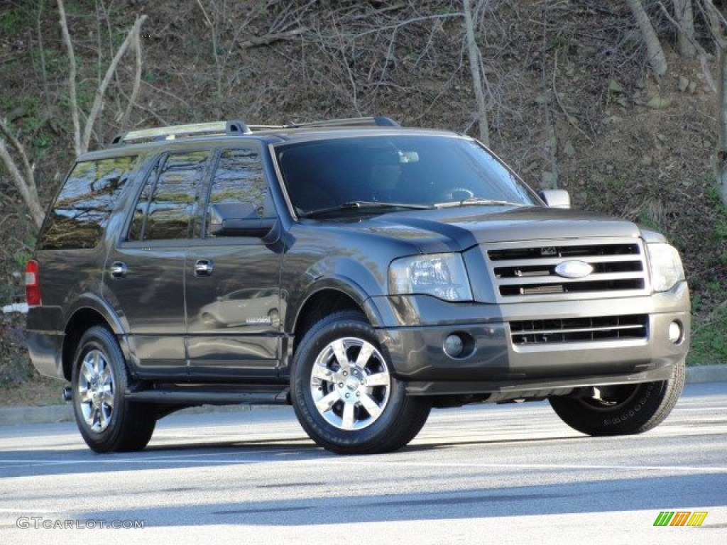 2007 Expedition Limited - Carbon Metallic / Charcoal Black/Caramel photo #4