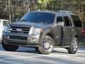 2007 Carbon Metallic Ford Expedition Limited  photo #5