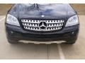 Black - ML 350 4Matic Photo No. 4