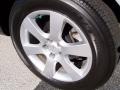 2008 Hyundai Santa Fe SE Wheel and Tire Photo