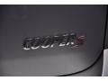 Crystal Silver Metallic - Cooper S Countryman ALL4 AWD Photo No. 16