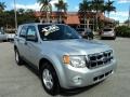 Ingot Silver Metallic - Escape XLT Photo No. 1