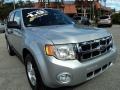 Ingot Silver Metallic - Escape XLT Photo No. 2