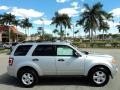 Ingot Silver Metallic - Escape XLT Photo No. 5