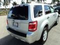 Ingot Silver Metallic - Escape XLT Photo No. 6