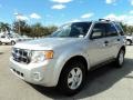 Ingot Silver Metallic - Escape XLT Photo No. 13