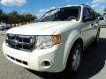 2010 White Suede Ford Escape XLS  photo #14