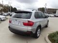 Titanium Silver Metallic - X5 3.0si Photo No. 3