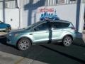 2013 Frosted Glass Metallic Ford Escape SE 1.6L EcoBoost  photo #3
