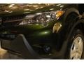 2013 Spruce Green Mica Toyota RAV4 LE AWD  photo #9