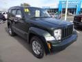 2010 Natural Green Pearl Jeep Liberty Sport 4x4  photo #11