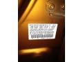 Orange Revolution Metallic - Fit Sport Photo No. 4
