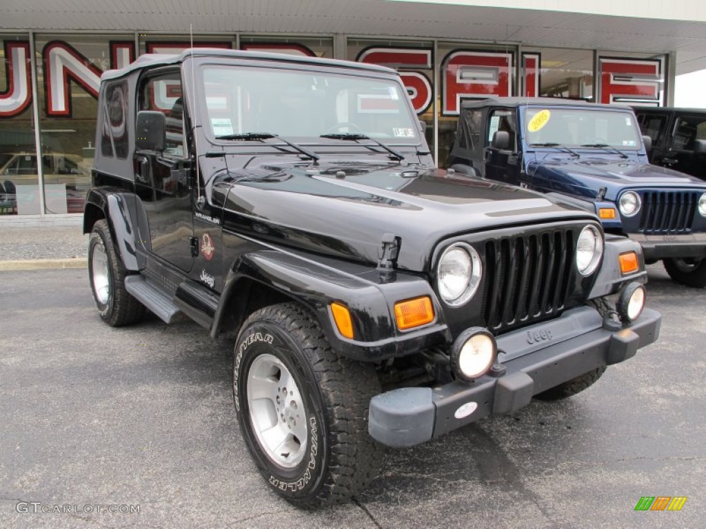 2002 Wrangler Sahara 4x4 - Black / Camel Beige/Dark Green photo #4