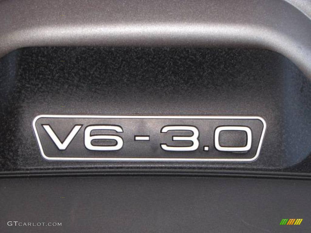 2003 A4 3.0 quattro Sedan - Amulet Red / Ebony photo #22