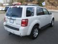 2010 White Suede Ford Escape Hybrid 4WD  photo #7