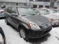 Pewter Pearl 2006 Honda CR-V EX 4WD
