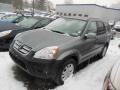 2006 Pewter Pearl Honda CR-V EX 4WD  photo #3