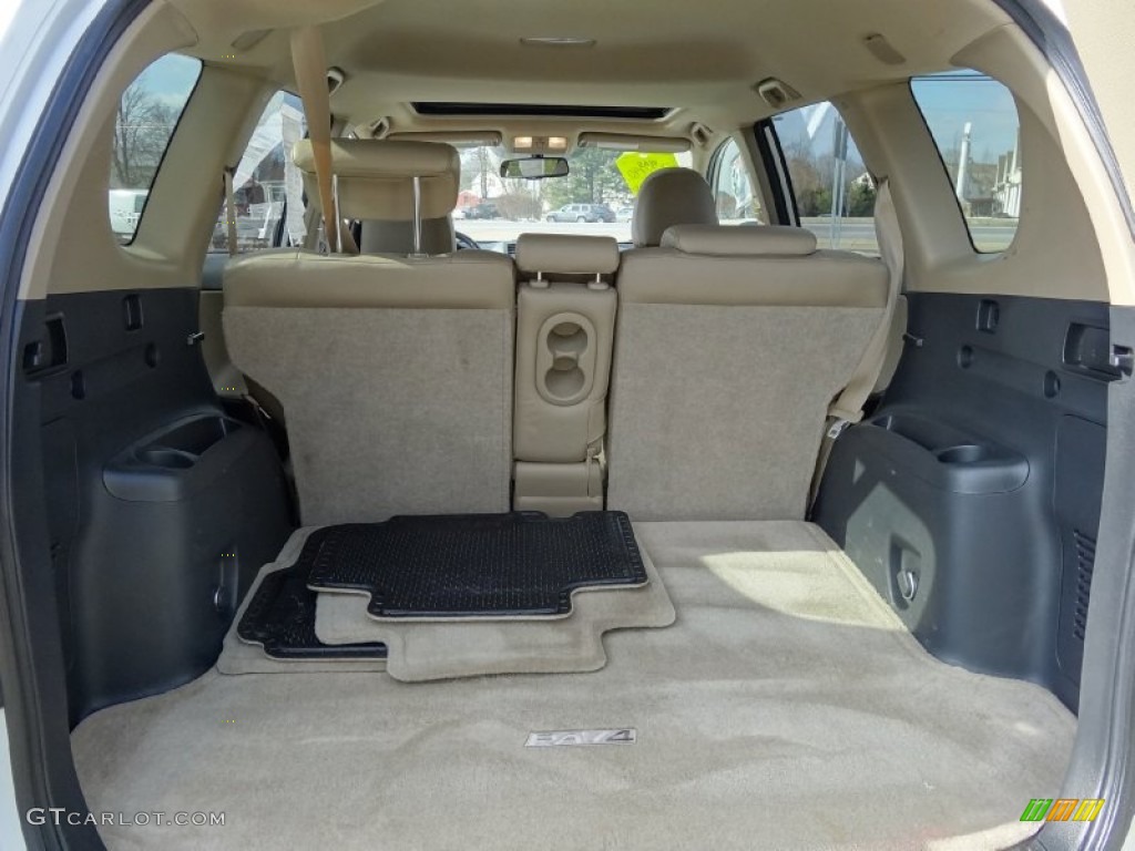 2010 Toyota RAV4 Limited 4WD Trunk Photo #76775006