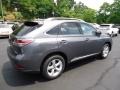 2013 Nebula Gray Pearl Lexus RX 350 AWD  photo #4