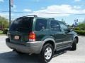 Dark Highland Green Metallic - Escape XLT V6 4WD Photo No. 5