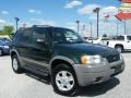 Dark Highland Green Metallic - Escape XLT V6 4WD Photo No. 7