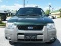Dark Highland Green Metallic - Escape XLT V6 4WD Photo No. 8