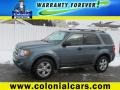 2010 Steel Blue Metallic Ford Escape XLT V6 4WD  photo #1