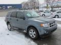 2010 Steel Blue Metallic Ford Escape XLT V6 4WD  photo #5