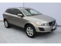 Seashell Metallic - XC60 3.2 Photo No. 2
