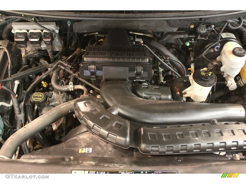 2004 F150 XLT SuperCrew 4x4 - Aspen Green Metallic / Tan photo #14