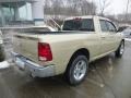 White Gold - Ram 1500 Big Horn Quad Cab 4x4 Photo No. 7