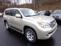 Satin Cashmere Metallic 2013 Lexus GX 460 Exterior