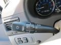 2010 Silver Shadow Pearl Toyota Sienna XLE  photo #20