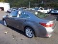 Nebula Gray Pearl - ES 350 Photo No. 2