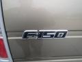 2013 Pale Adobe Metallic Ford F150 XLT SuperCab  photo #6
