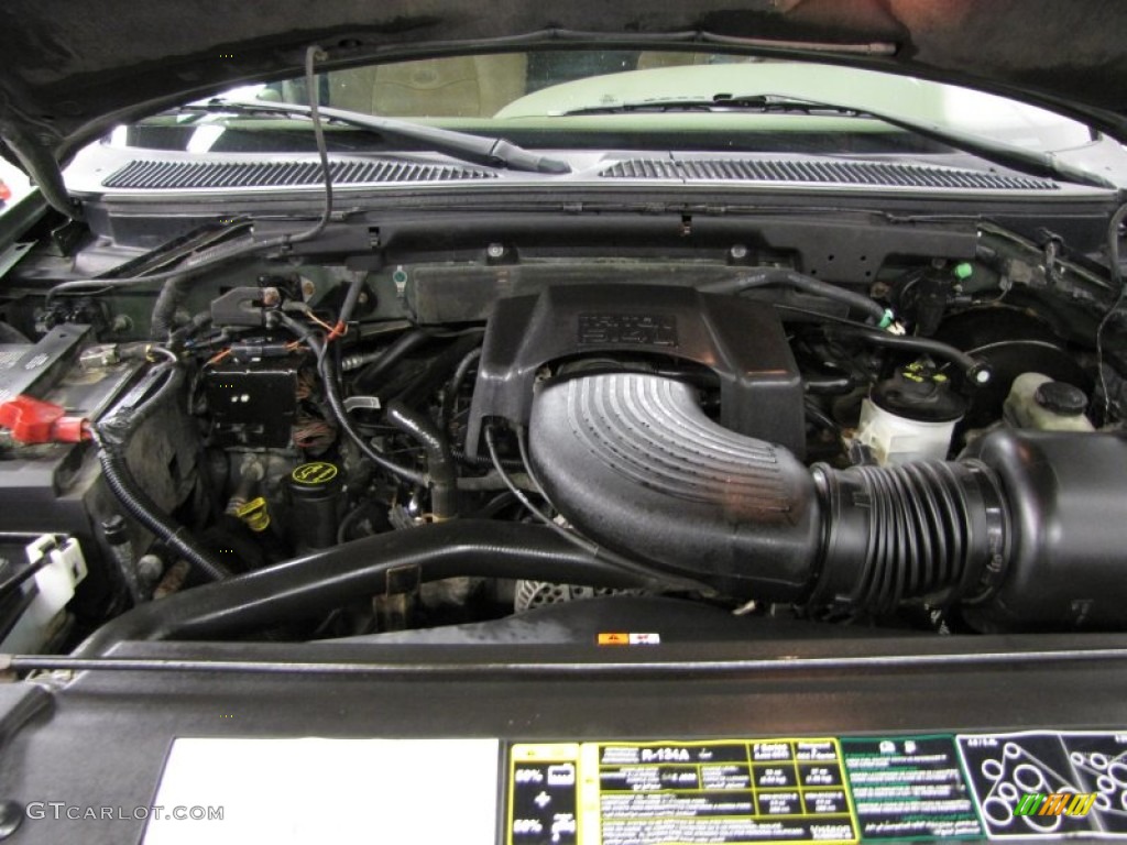 2003 F150 King Ranch SuperCrew 4x4 - Estate Green Metallic / Castano Brown Leather photo #5