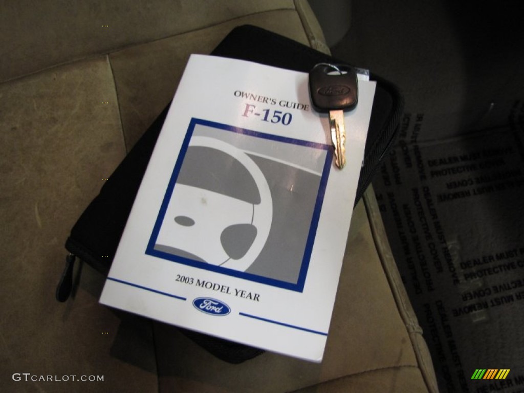 2003 F150 King Ranch SuperCrew 4x4 - Estate Green Metallic / Castano Brown Leather photo #29