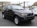 Jet Black - X5 3.0i Photo No. 3