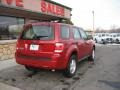 2010 Sangria Red Metallic Ford Escape XLS 4WD  photo #6